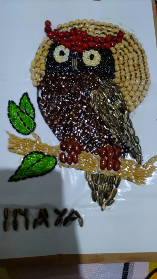 Jual Kolase Biji-Bijian Burung Hantu Biji Saga Indonesia|Shopee Indonesia
