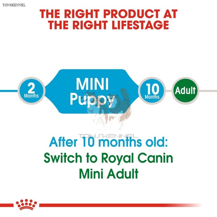 Royal Canin Puppy Mini Makanan Anak Anjing Dry 8kg kg rc