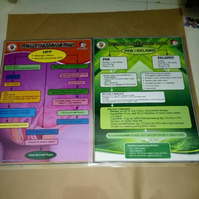 

2 Poster Penalaksanaan Pada HPP dan Penatalaksanaan pada PEB / Eklamasi Dan Banyak Poster Kengkap Lainnya