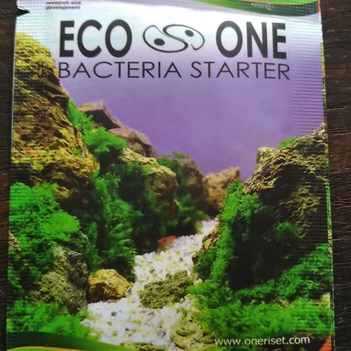 Bacteria Starter Eco One Untuk Aquascape