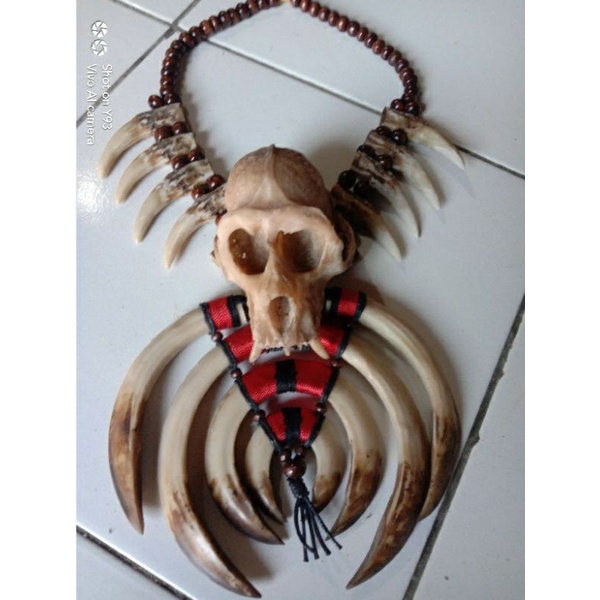KALUNG TARING BABI TENGKORAK MONYET DAYAK ETNIK KALIMANTAN DAYAK