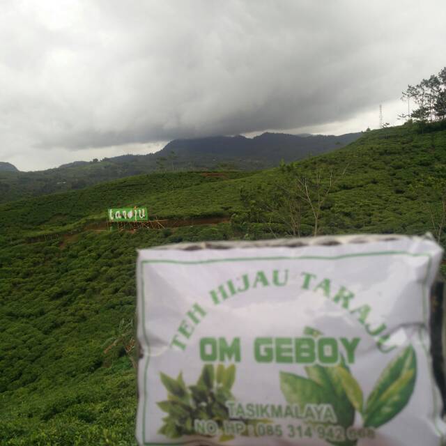 

Teh hijau taraju Tasikmalaya