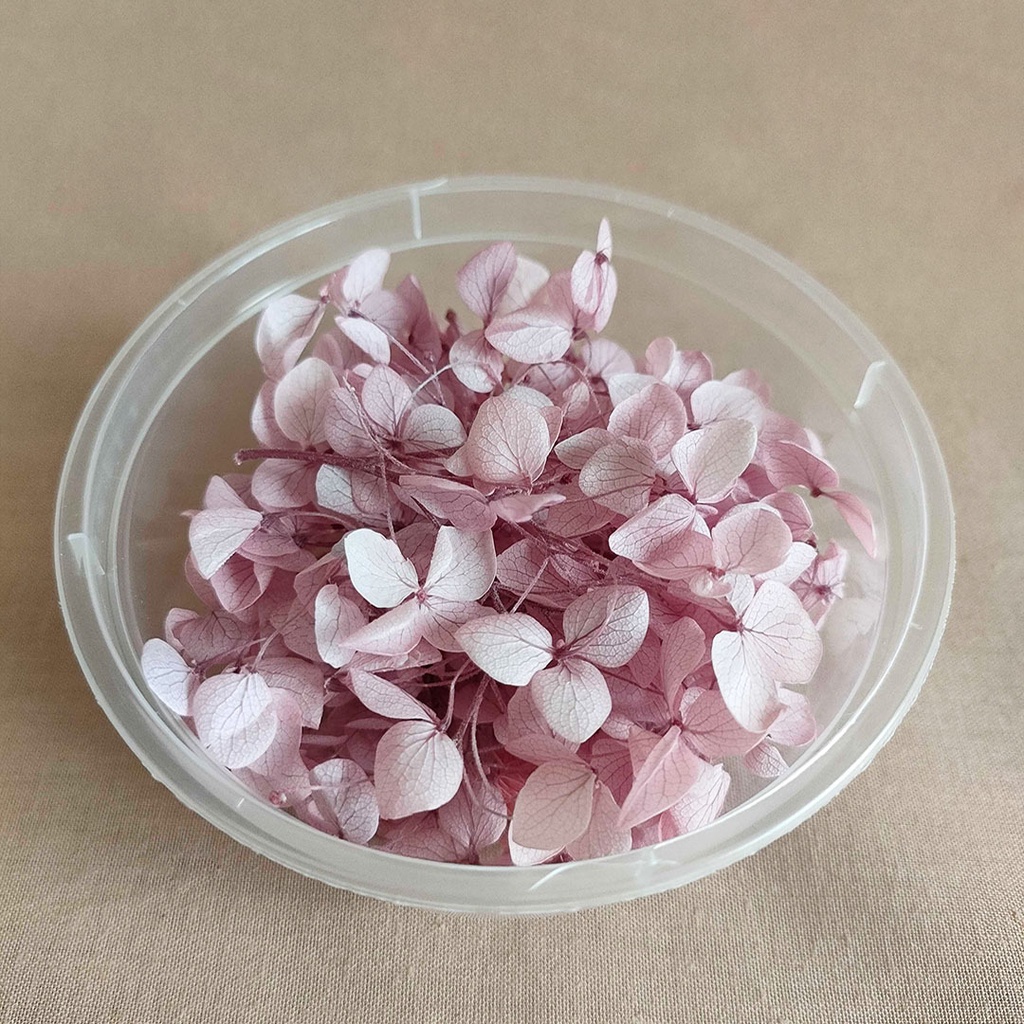 (2gr) Preserved Hydrangea Dried Awetan Bunga Kering Preserved Flower Dried Flower Bunga kering Aesthetic mini dekorasi