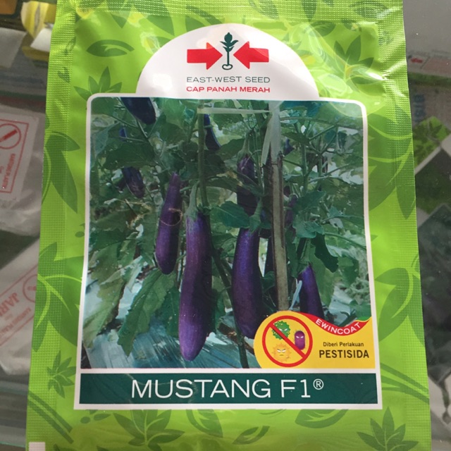 Benih Terong Ungu Cap Panah Merah Mustang