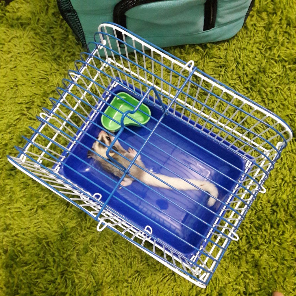 ADEWAP GLIDER Kandang Kecil Sugar Glider Hamster Landak Mini