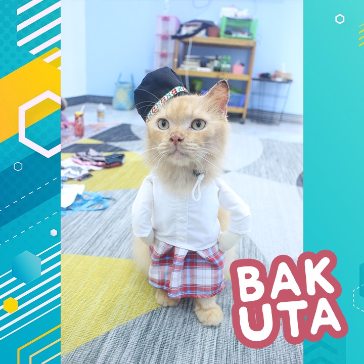 Kostum baju koko lebaran untuk kucing lucu / Baju kucing murah size S-XL