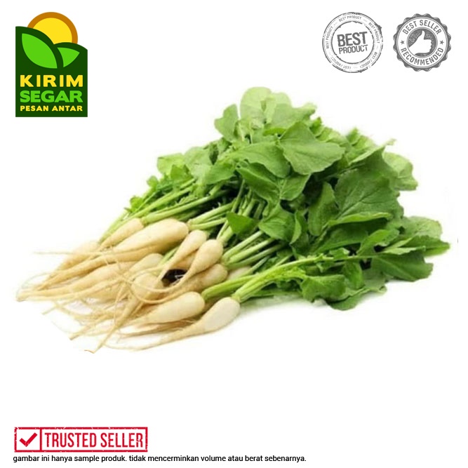 

Daun Lobak Segar / Lobak Daun / Daun Lobak / Perikat