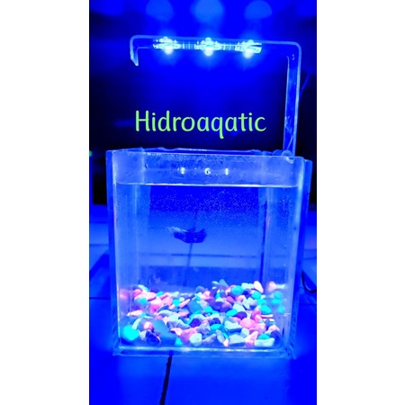 PROMO LAMPU AQUARIUM SOLITER MINI / LAMPU LED / LAMPU SOLITER / LED AQUARIUM / LAMPU MINI AQUARIUM