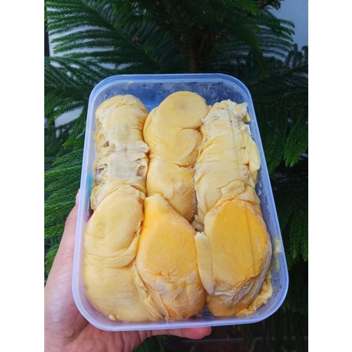 

Buah | Durian Kupas Mentega