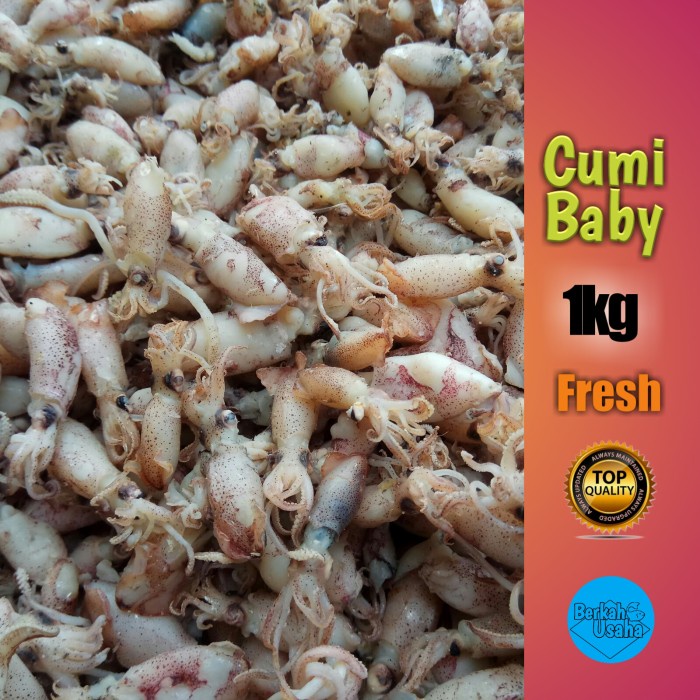

BABY CUMI REBUSAN 1KG//CUMI BABY ASIN//IKAN ASIN MURAH GROSIR