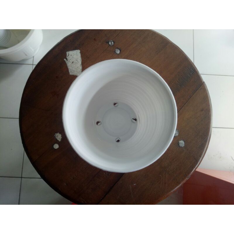 Pot Tawon kecil putih