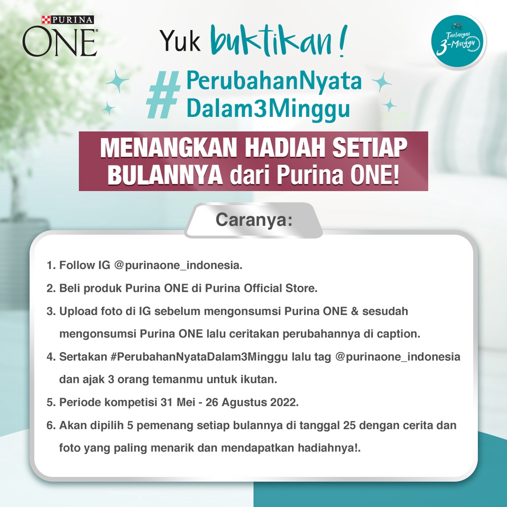 Purina ONE Healthy Kitten Chicken Makanan Kering Anak Kucing 1.2kg