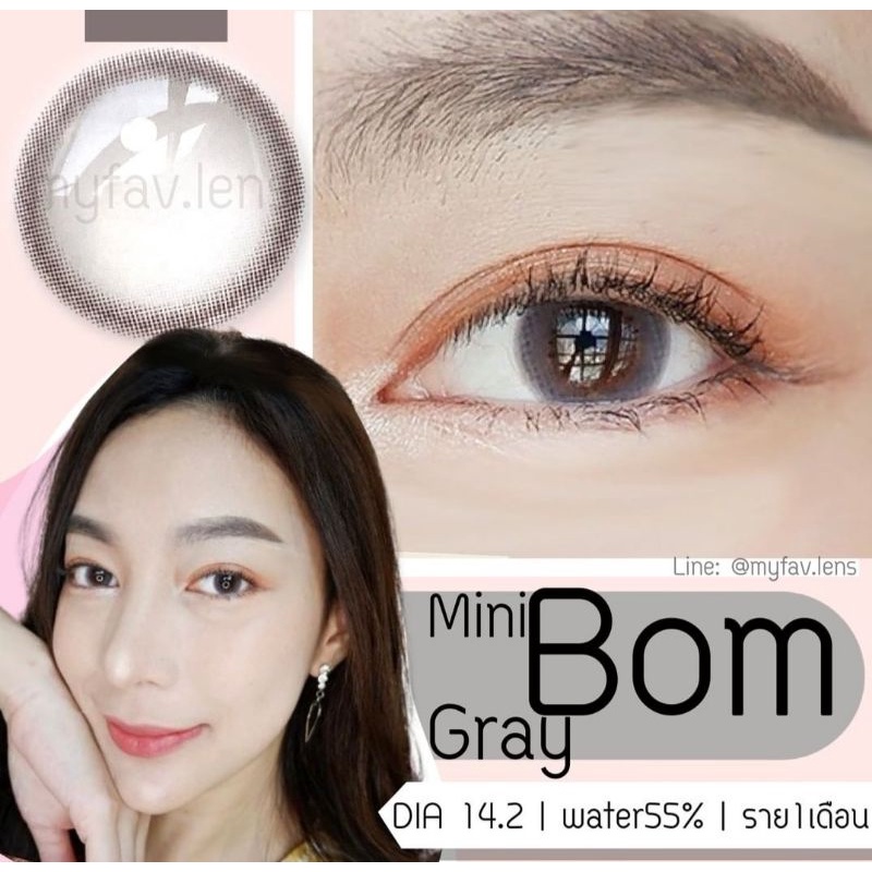 SOFTLENS MINI BOM GRAY GREY ABU NATURAL SOFT LOOK NORMAL MINUS s.d -10.00