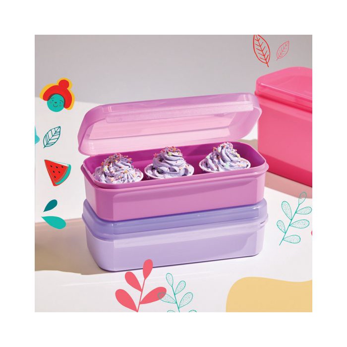 Handy Box Tupperware (2) / kotak penyimpanan