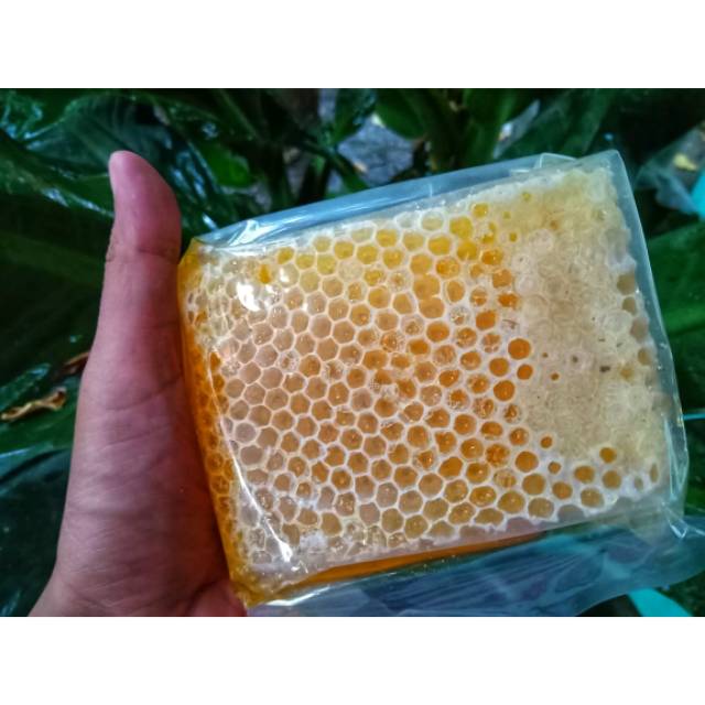 

Sarang Madu Maliefera