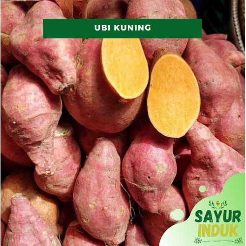 

Sayur Induk - Ubi Kuning 500 Gram Fresh Grade A Ubi Jalar Sweet Potato