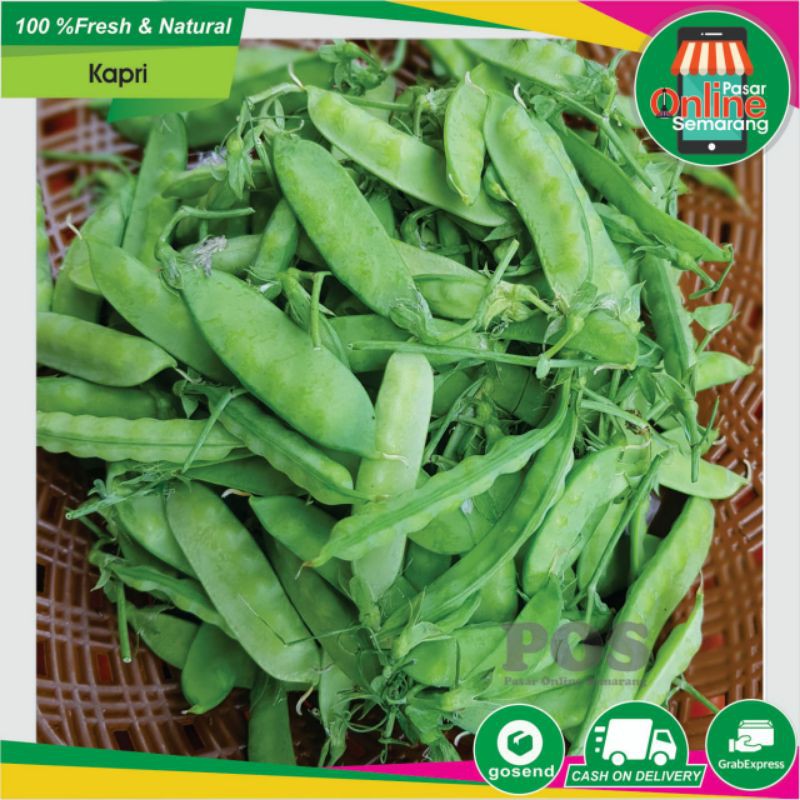 

Sayur Sayuran Kapri / Segar Fresh / Belanja Murah / Semarang