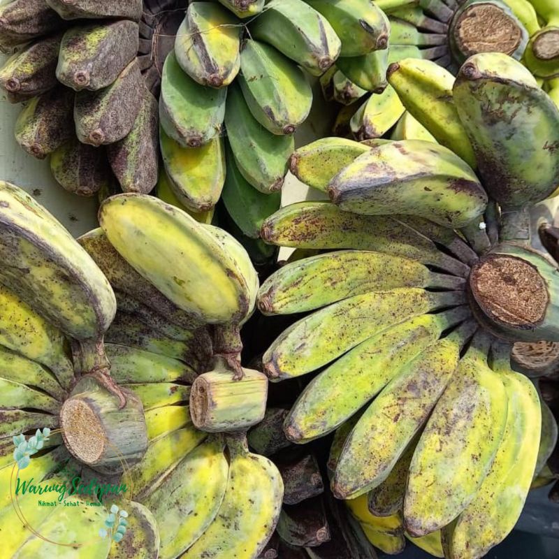 

Pisang Kepok Segar Pisang Enak Buah Murah Cikarang Pisang Kepok Murah