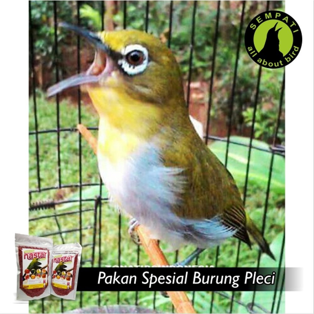 Ganas Cetar Nastar Hw Pakan Burung Pleci Ciblek Decu Gelatik