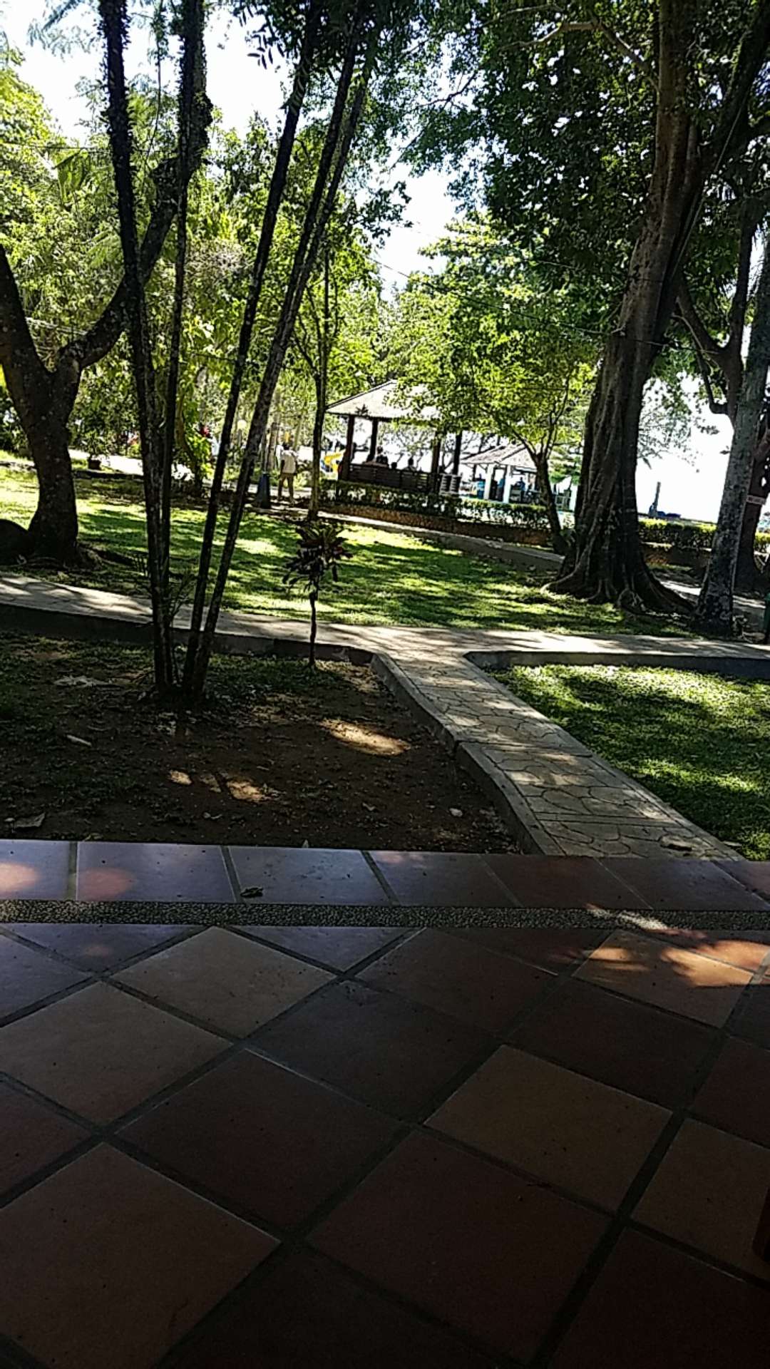 Roundup 486sl 4l Herbisida Pembasmi Rumput 4 Liter Round Up