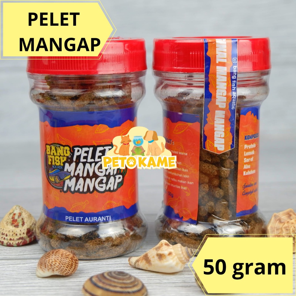 Bang Fish Pelet Mangap Auranti Bangfish 50 gram | Pakan Pelet Channa Auranti
