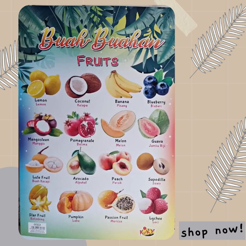 

Mengenal Buah-buahan Fruits | Poster Anak