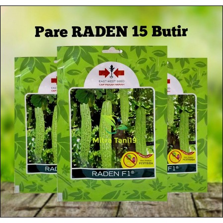 CAP PANAH MERAH BENIH BIBIT TANAMAN SAYUR HIDROPONIK PARE PARIA RADEN SP 15 butir