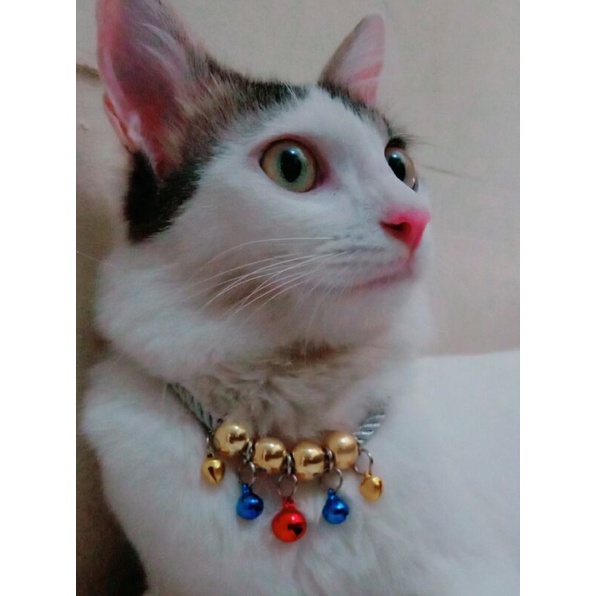 kalung kucing red loncang 5 nyaring bunyinya mewah dan elegant