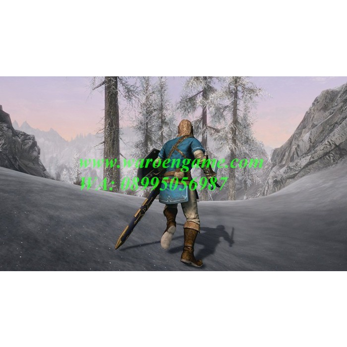 Nintendo Switch / Switch The Elder Scrolls V: Skyrim (English)