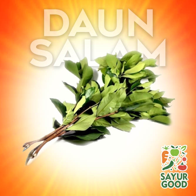 

Daun Salam Segar / Daun Salam / Pack / Ikat