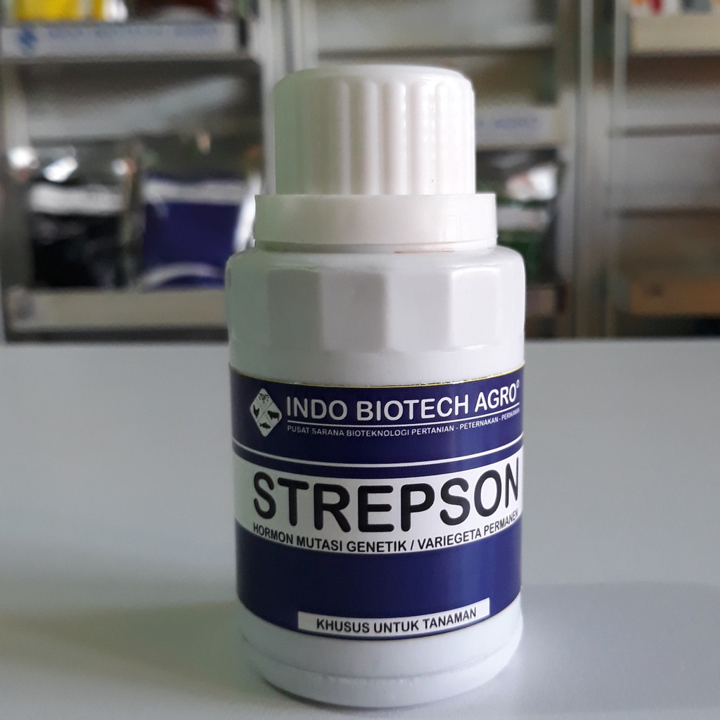 Strepson 100ml