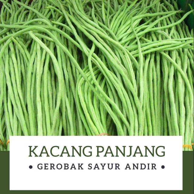 

Kacang panjang /500gr
