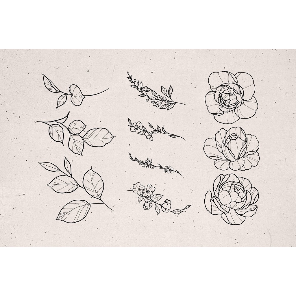 Procreate Brush - Peony Flower Stamps for Procreate