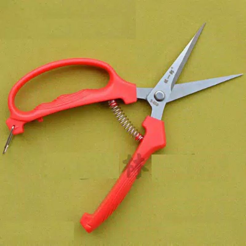 gunting bonsai pruning daun bonsai akar saichiro