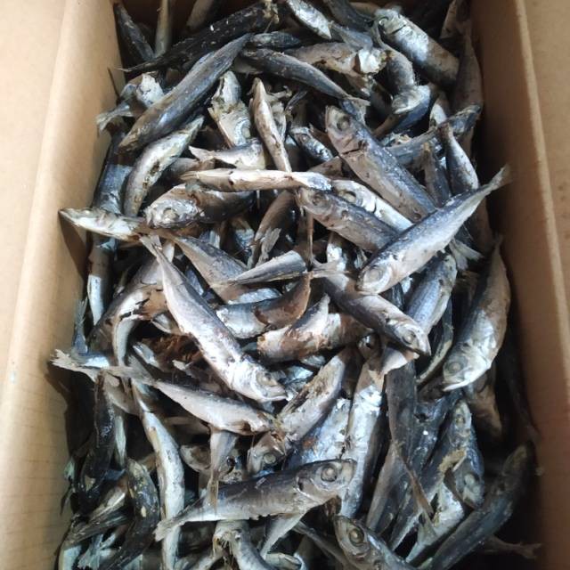 

PASAR ONLINE MURAH - IKAN ASIN REBUS 100GR Ikan asli dari Panarukan