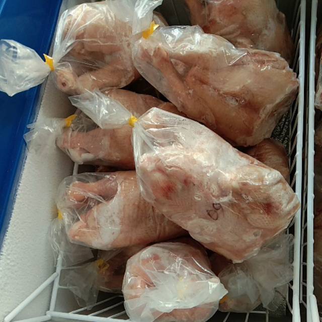 

Ayam Karkas Frozen berat 0.9 - 1.0 kg