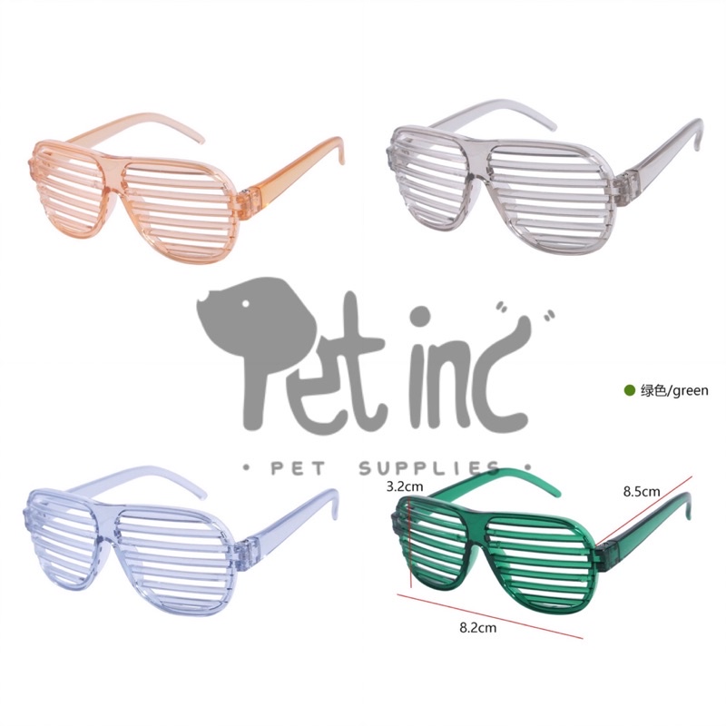 pet reyben sunglass