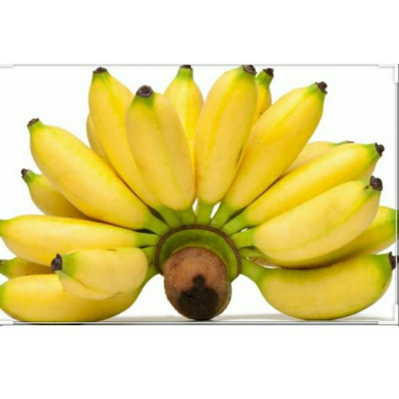 Buah Pisang mas per sisir