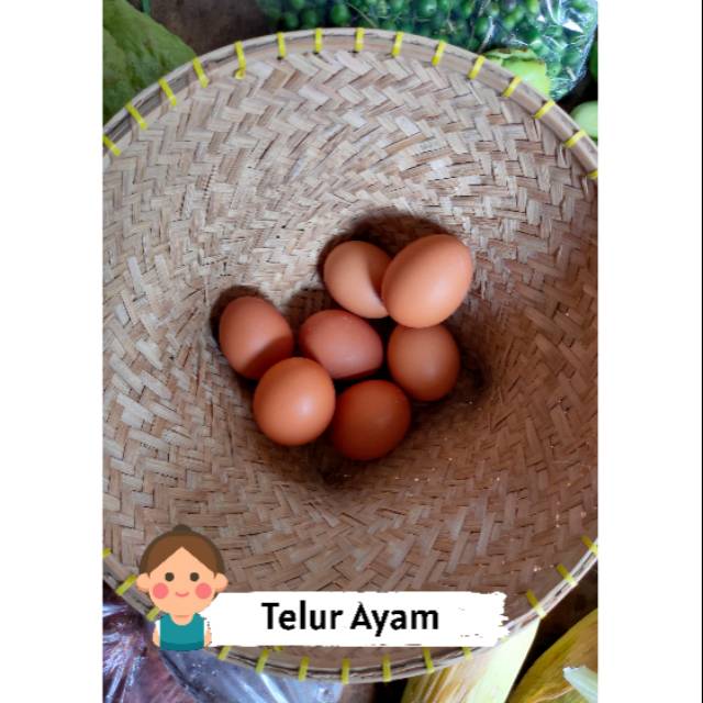 

Telur ayam