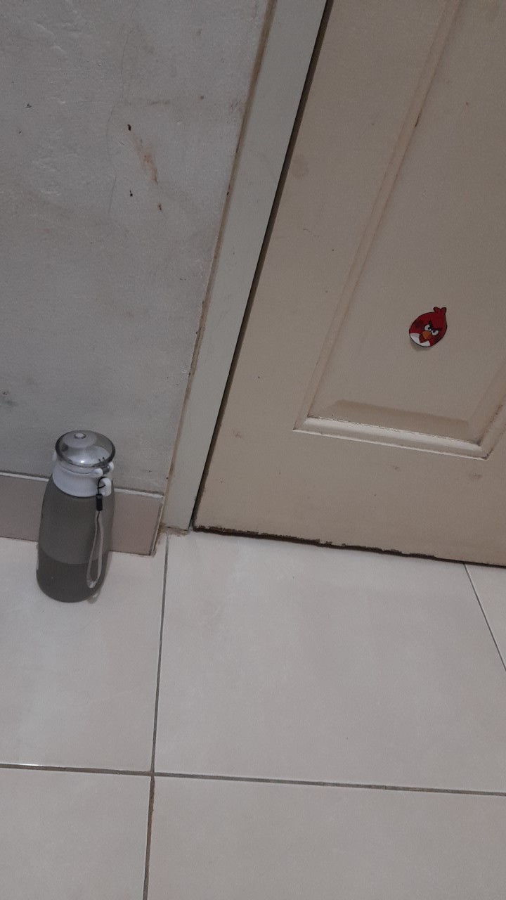 Botol Minum Karakter Big Bear 500 Ml / Big Bear Water Bottle B28