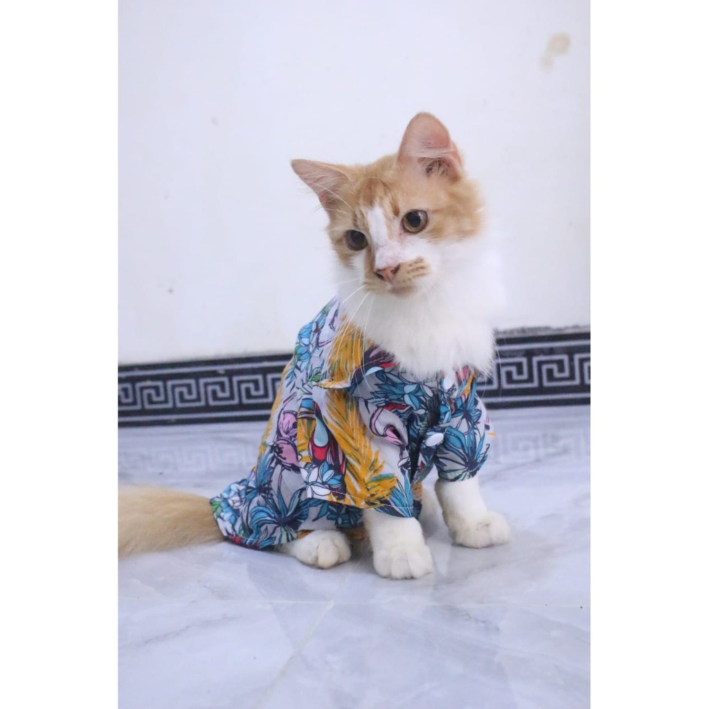 [Bahan adem] baju pantai kuning lucu untuk kucing dan anjing / baju kucing murah size S M L XL