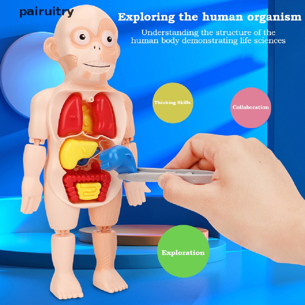 Mainan puzzle Rakitan Anatomi Tubuh Manusia 3d Untuk Edukasi