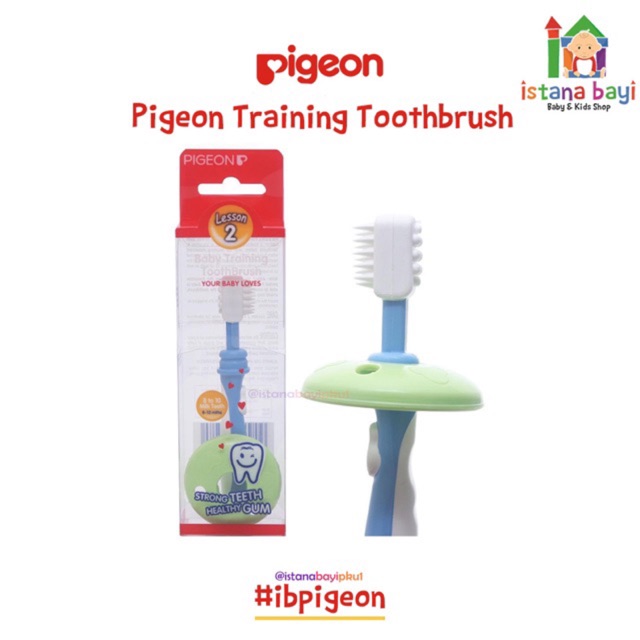 Pigeon Training Toothbrush Lesson 2 - Sikat gigi bayi