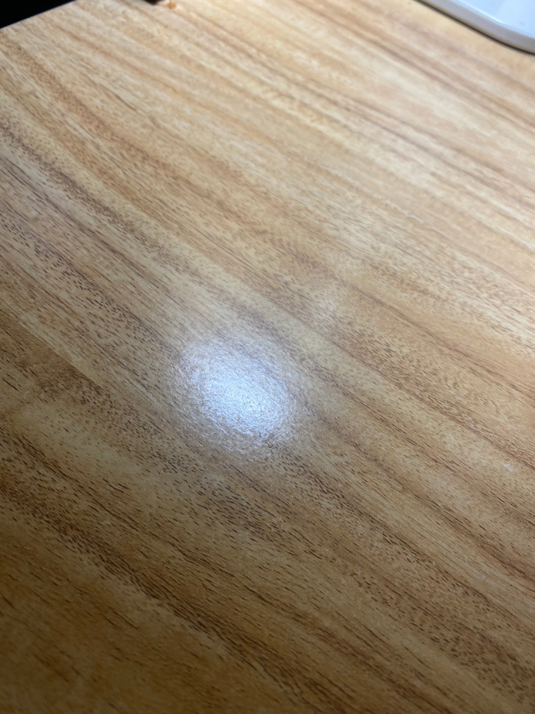 Kotak Makan Bento Lunch Box Transparant Tempat Makan Bpa Free 850ml