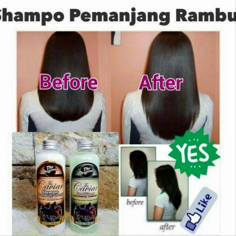 The Caviar Shampoo Caviar Ori BPOM Shampo Kuda Caviar Sampo Kuda Penumbuh Rambut Pemanjang Perawatan Penyubur Botak Rontok Rusak Bercabang Anti Ketombe Conditioner Bpom Original