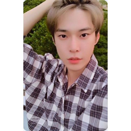 PC Doyoung Future Resonance PC Doyoung Future Reso PC Doyoung Jidatan PC Doyoung Jidat PC Doyoung NC