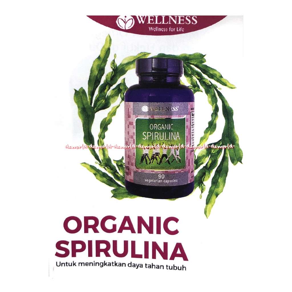 Wellness Organic Spirulina 90Kapsul Obat Suplemen Meningkatkan Daya Tahan Tubuh Well Ness