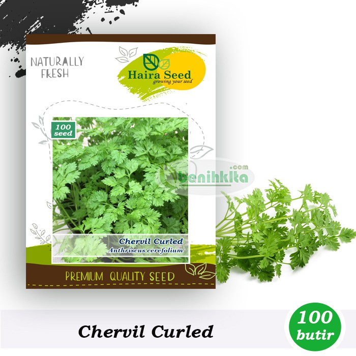 Benih-Bibit Chervil Curled (Haira Seed)