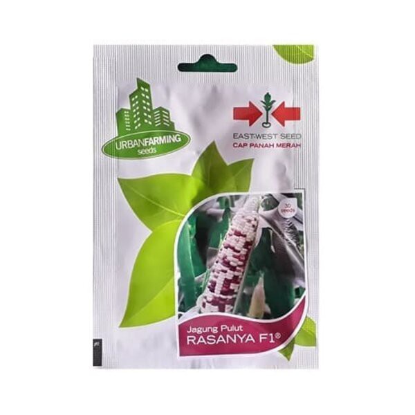 Benih Bibit Jagung Manis Pulut Rasanya F1 Biji Cap Panah Merah Ketan