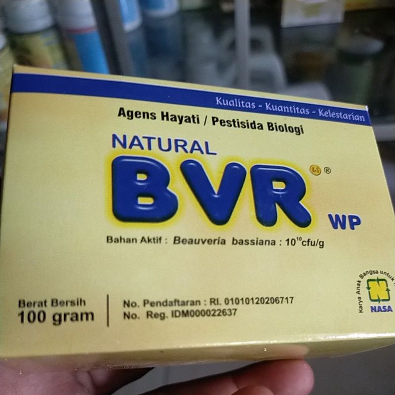 bvr nasa pestisida biologi natural bvr wp /pestisida organik pendali hama wereng tanaman padi